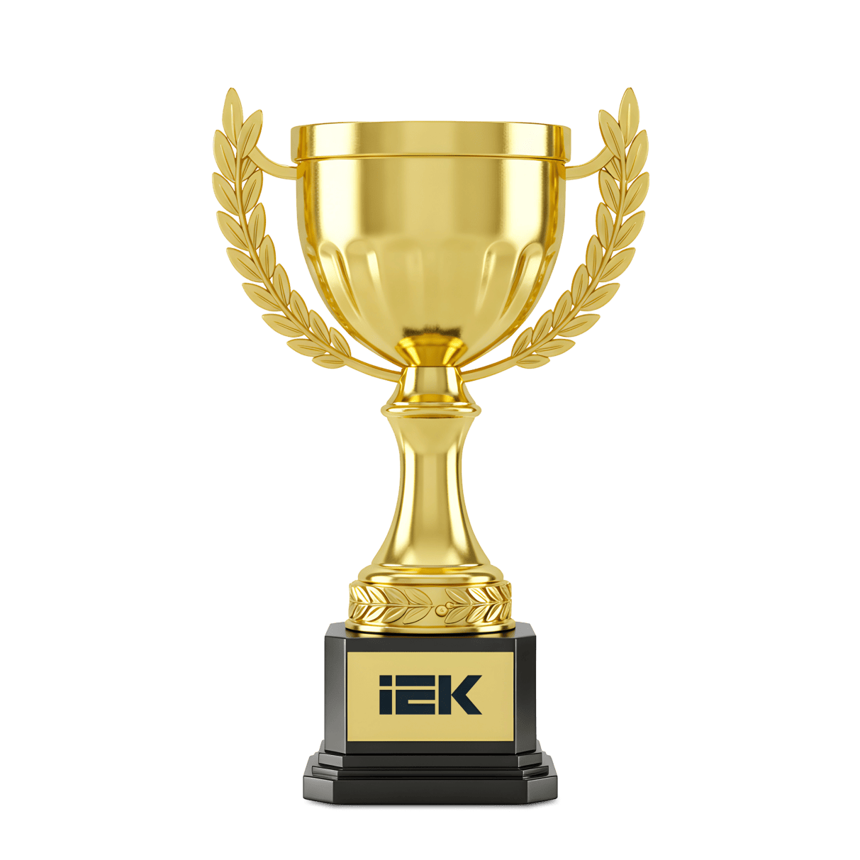 IEK Achievements
