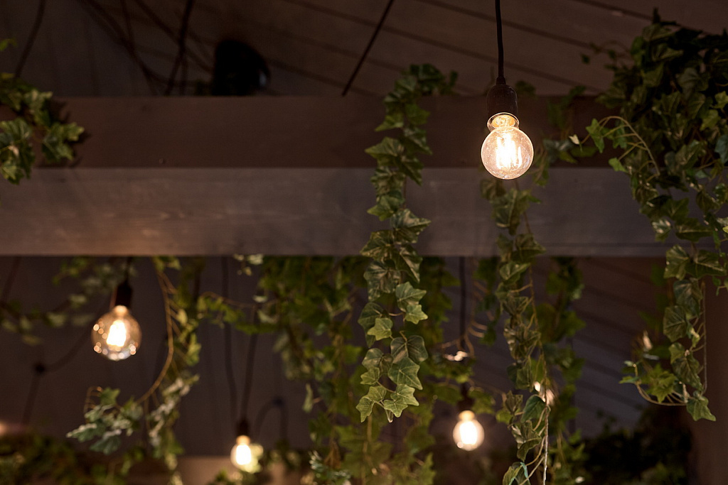 3_Честные ватты Зимний сад 2.jpg