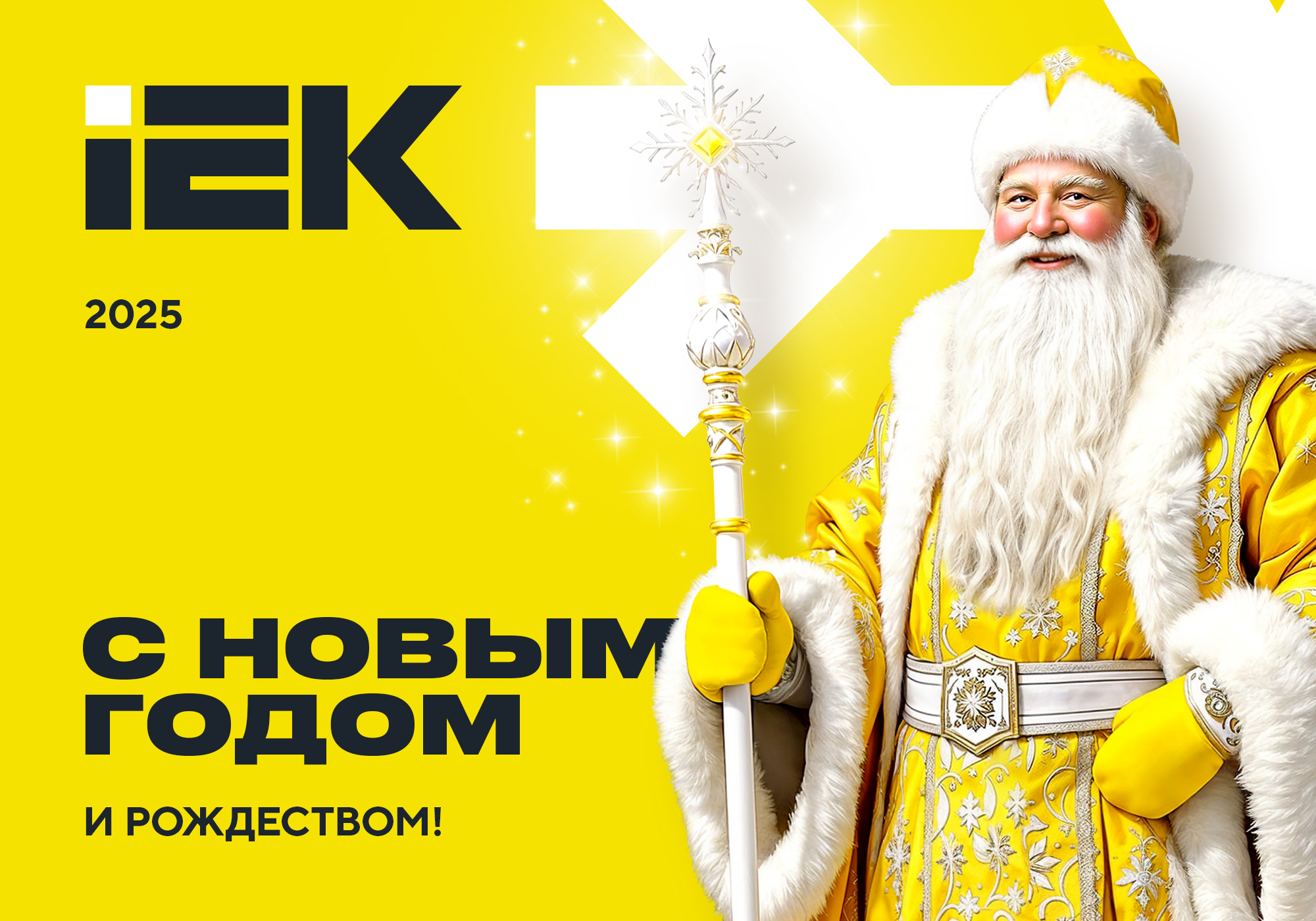 postcard_IEK_New_Year_2025_2000x1400_rus (1).jpg