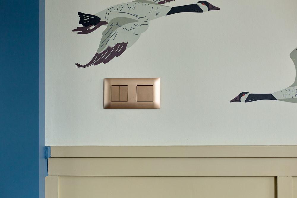 2_Дача с гусями.jpg